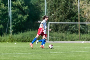 Bild 214 - wBJ Hamburger SV - Holstein Kiel : Ergebnis: 2:0
